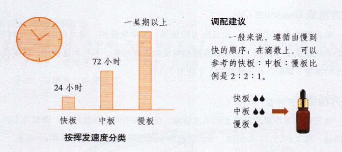 精油按照揮發(fā)速度分類：快板、慢板、中板