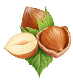 榛果油 Hazelnut Oil