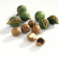 澳洲堅(jiān)果油 Macademia nut Oil